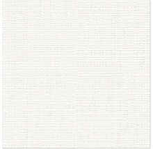 Papier peint avec structure horizontale fine et aspect ligné.