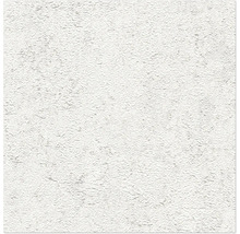 Papier peint blanc structuré avec un aspect fibreux pour la décoration murale intérieure.