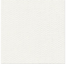 Papier peint blanc avec une surface structurée et un motif fin.