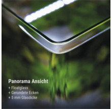 Detailansicht der abgerundeten Ecke eines Aquariums aus 5 Millimeter dickem Floatglas für eine Panorama-Ansicht.