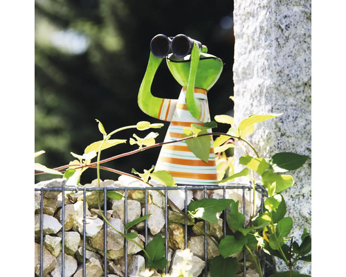 Figurine de jardin grenouille avec jumelles et haut rayé sur un gabion de pierres parmi des plantes grimpantes.