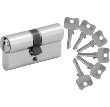 Cylindre de serrure profilé avec six clés en métal pour portes.