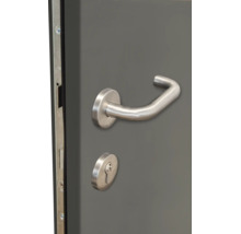 Poignée de porte en acier inoxydable avec rosaces rondes et cylindre de fermeture sur une porte.