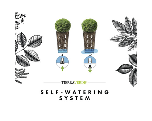 Schéma du système d'arrosage automatique Tierra Verde pour jardinières avec réservoir d'eau, irrigation des racines et trop-plein.