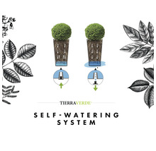 Schéma du système d'arrosage automatique Tierra Verde pour jardinières avec réservoir d'eau, irrigation des racines et trop-plein.