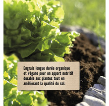 Engrais longue durée organique et végane pour un apport nutritif durable aux plantes et amélioration de la qualité du sol.