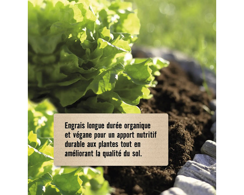 Engrais longue durée organique et végane pour un apport nutritif durable aux plantes et amélioration de la qualité du sol.
