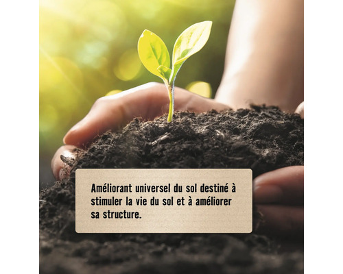Mains tenant une terre fertile avec un jeune plant, améliorant de sol pour stimuler la vie microbienne et améliorer la structure.