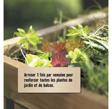 Jardinière en bois avec des plantes et texte arroser une fois par semaine pour renforcer toutes les plantes de jardin et de balcon.
