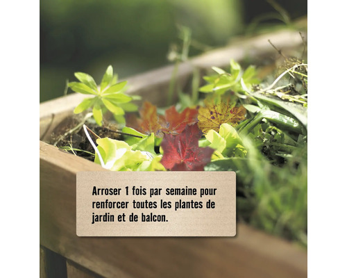 Jardinière en bois avec des plantes et texte arroser une fois par semaine pour renforcer toutes les plantes de jardin et de balcon.