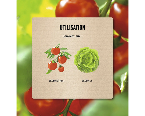 Symbole d'application pour les légumes-fruits et les légumes.