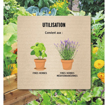 Infographie d'utilisation : convient aux fines herbes et aux herbes méditerranéennes.