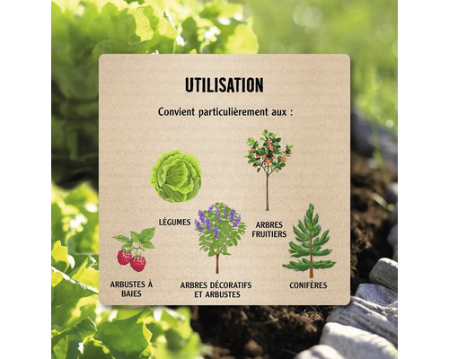 Panneau d'information sur l'utilisation pour arbustes à baies, légumes, arbres et arbustes décoratifs, arbres fruitiers et conifères.