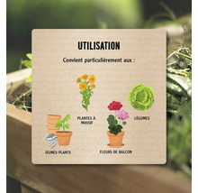 Infographie sur l utilisation: Particulièrement adapté aux jeunes plants, plantes à massif, fleurs de balcon et légumes.