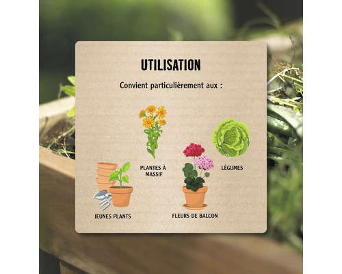 Infographie sur l utilisation: Particulièrement adapté aux jeunes plants, plantes à massif, fleurs de balcon et légumes.