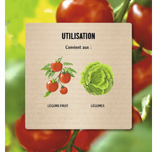 Symbole d'application pour les légumes-fruits et les légumes.