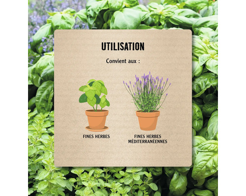 Conseil d'utilisation pour les plantes : Convient aux fines herbes et aux fines herbes méditerranéennes comme le basilic et la lavande.