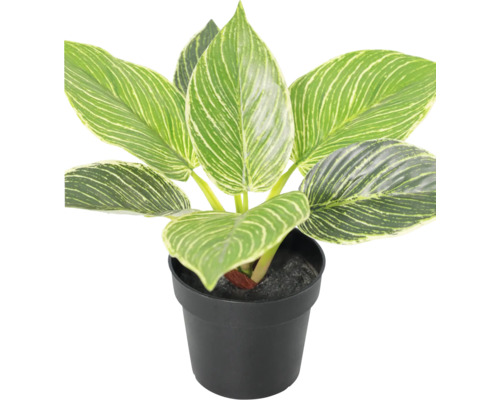 Künstlicher Philodendron Birkin in einem schwarzen Kunststofftopf, gestreifte Blätter aus Kunststoff.