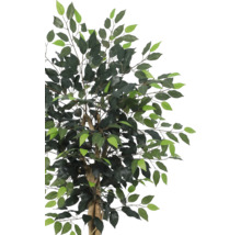Künstliche Ficus-Pflanze mit grünen Blättern und verzweigten Ästen an einem braunen Stamm.