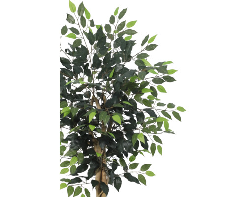 Künstliche Ficus-Pflanze mit grünen Blättern und verzweigten Ästen an einem braunen Stamm.