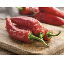 Frische rote Chilischoten mit grünen Stielen auf einem Holzschneidebrett.