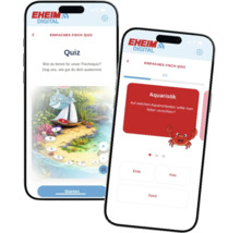 Zwee Smartphone weisen d'Eheim Digital App mat engem interaktive Fësch-Quiz fir d'Aquaristik.