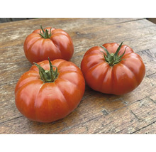 Trois grandes tomates charnues rouges et côtelées sur une surface en bois.