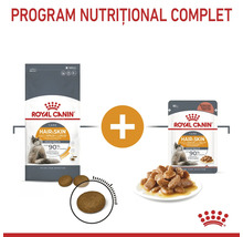 Combinaison de croquettes et de nourriture humide Royal Canin Hair and Skin Care pour un programme nutritionnel complet pour chats.