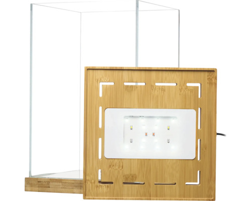 Glasterrarium mit Bambussockel und integrierter LED-Beleuchtung im Bambusdeckel.