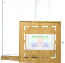 Nano Aquarium aus Glas mit Deckel und Boden aus Holz sowie integrierter LED-Beleuchtung.