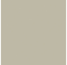 Échantillon de couleur gris-brun clair neutre pour surfaces ou murs.