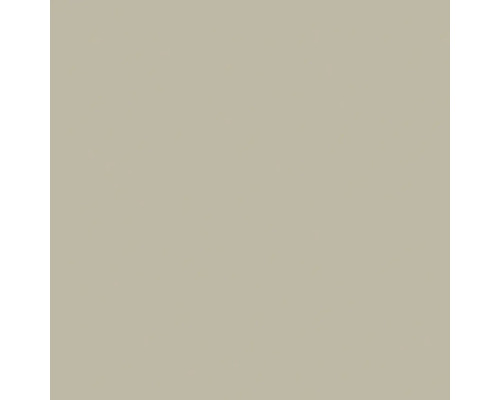 Échantillon de couleur gris-brun clair neutre pour surfaces ou murs.