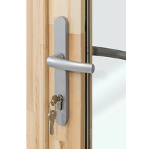 Poignée de porte en aluminium avec plaque longue et clé sur une porte en bois avec verre.