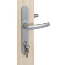 Abri de jardin Palmako Iris 19,1 m² avec plancher 574 x 448 cm naturel