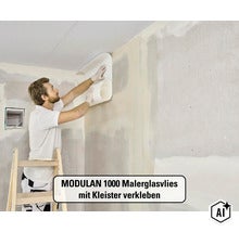 MODULAN 1001 Malerglasvlies 3565011080 vorbeschichtet 130g/m² 50 m x 1 m (Image AI modified or generated)