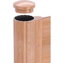 Poteau de clôture aspect bois avec capuchon de poteau amovible et panneau de clôture.