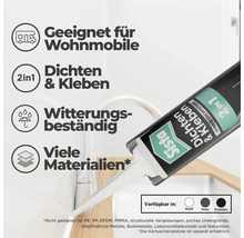 Sista 2in1 Hybrid-Dichtstoff zum Dichten und Kleben, witterungsbeständig, geeignet für Wohnmobile und viele Materialien.