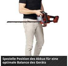 Taille-haies sur batterie EINHELL Power-X-Change GC-CH 36/61 Li sans batterie ni chargeur