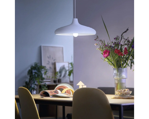 Moderne Pendelleuchte über einem Esstisch in einem hellen, wohnlichen Esszimmer mit Blumenstrauß und Dekoration.