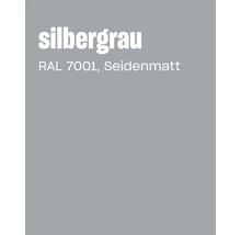 Nuancier en gris argent RAL 7001 satiné