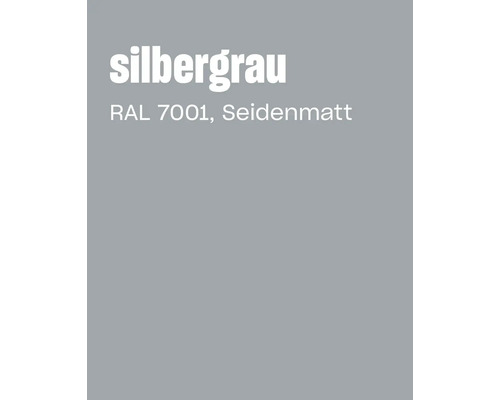 Nuancier en gris argent RAL 7001 satiné