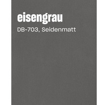 Farbkarte in Eisengrau DB 703 mit seidenmatter Oberfläche