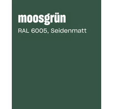 Nuancier vert mousse RAL 6005 en finition satinée