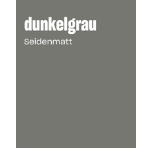 Nuancier de couleur gris foncé avec finition satinée