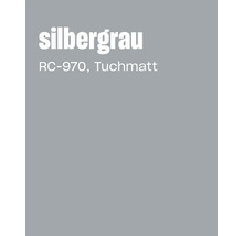 Nuancier gris argenté avec la désignation RC 970 Tuchmatt