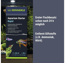 Dennerle Aquarium Starter Rapid aide au démarrage pour aquariums d eau douce 2 fois 100 millilitres pour 100 litres d eau