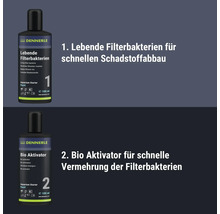 Set Dennerle Aquarium Starter Rapid avec bactéries filtrantes vivantes et bio activateur pour démarrage rapide de aquarium, 2 fois 100 millilitres.