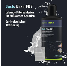 Dennerle Bacto Elixir FB7 bactéries de filtration vivantes pour aquariums d eau douce flacon de 500 millilitres pour activation biologique