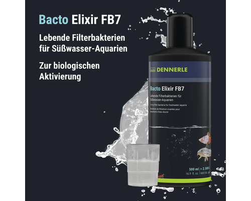 Dennerle Bacto Elixir FB7 bactéries de filtration vivantes pour aquariums d eau douce flacon de 500 millilitres pour activation biologique