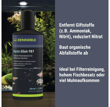 Dennerle Bacto Elixir FB7 bactéries de filtration vivantes pour le traitement de l'eau en aquarium d'eau douce, flacon de 250 millilitres.
